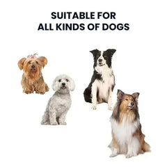 Waterproof Dog Coat with Reflective Design & Warm Lining