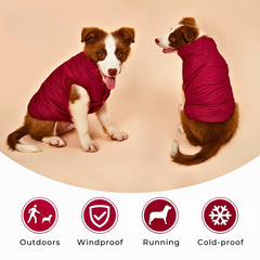 Warm Winter Dog Coat for Small & Big Dogs