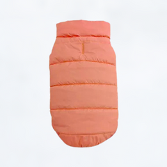 Warm Winter Dog Coat for Small & Big Dogs