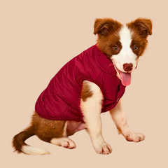 Warm Winter Dog Coat for Small & Big Dogs