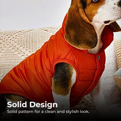 Warm Winter Dog Jacket for Small Medium Dogs