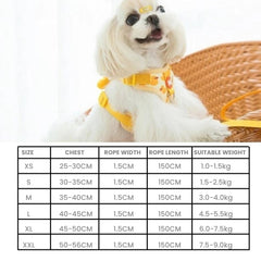 Yellow Duck Pet Harness & Leash Set — Breathable, Padded
