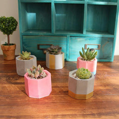 3 Holes Multipurpose Polygonal Flower Pot candle mould - dealskart.com.au