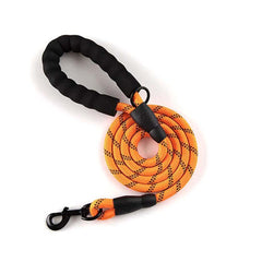 Nylon Training Dog Leash- 6 colour variants - dealskart.com.au