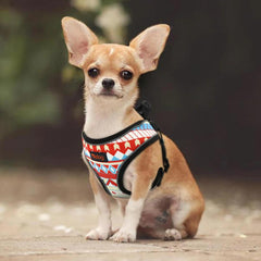 Reflective Nylon Cute Dog/Puppy Harness Vest - dealskart.com.au