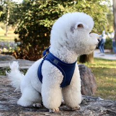 Breathable Pet Vest with Reflective Strips - dealskart.com.au