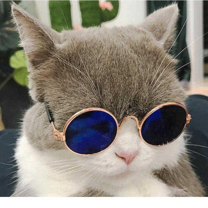 Pet Accessories- Vintage Round Cat Sunglasses and Eyewear - dealskart.com.au