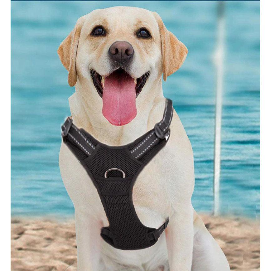 Truelove Reflective Safety Harness Vest for Small and Medium-sized Dogs/Pets/Cats - dealskart.com.au