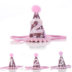 Pet Celebrations Party Celebration Hat - dealskart.com.au