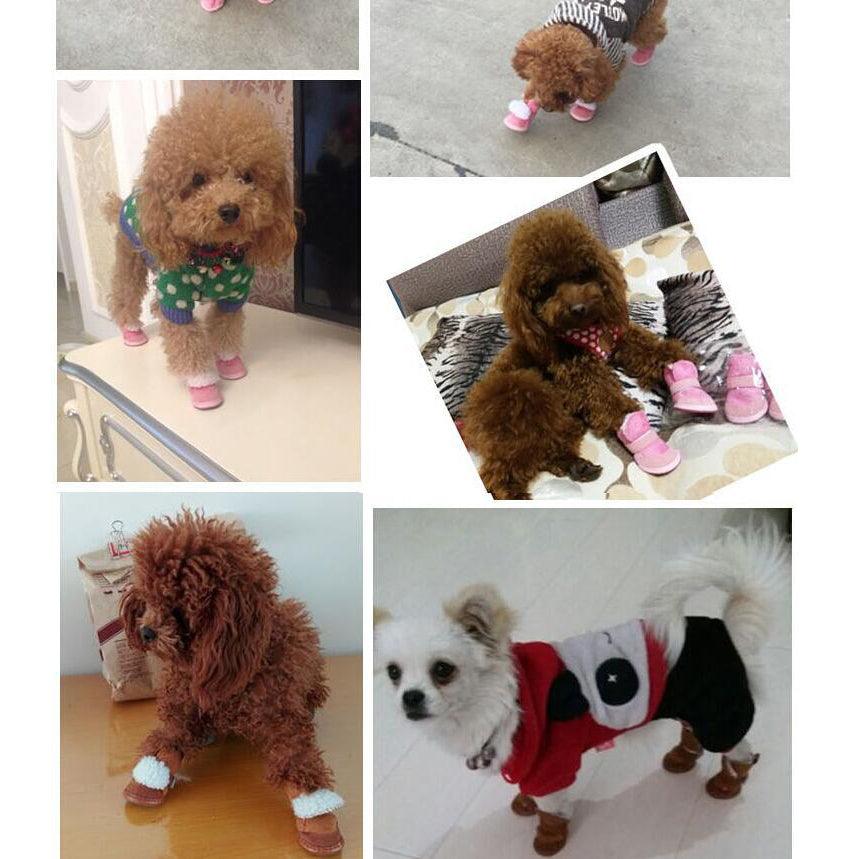 Pet Accessories- Winter Warm Shoes for Dogs, Puppy Sneakers - dealskart.com.au