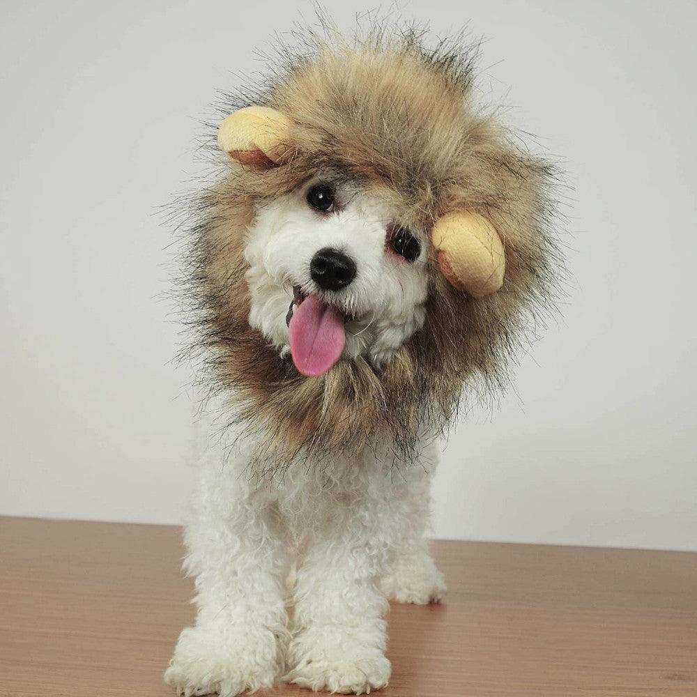 Pet Accessories- Cute Lion Wig Headgear for Puppies, Cats and Dogs - dealskart.com.au