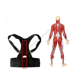 Waist Support- Adjustable Magnetic Posture Back Support Waist Trimmer Belt - dealskart.com.au