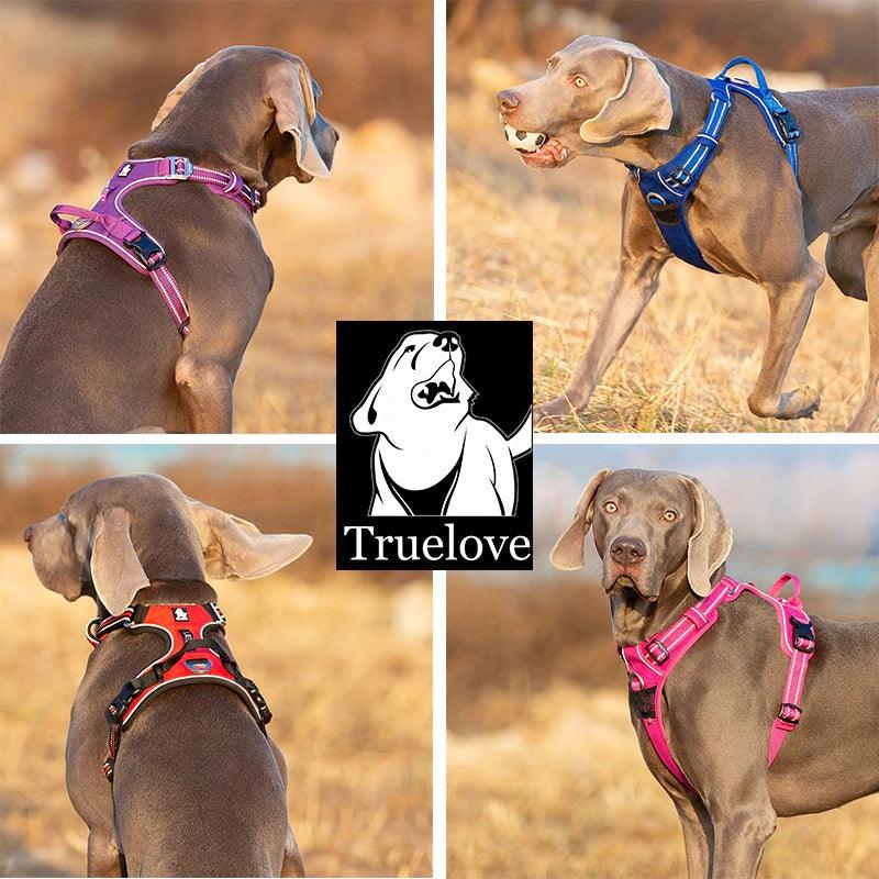 Truelove Nylon Adjustable Harness Vest - dealskart.com.au