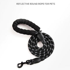 Nylon Training Dog Leash- 6 colour variants - dealskart.com.au