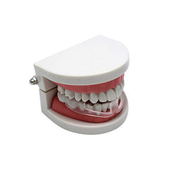 Silicone Removable Sleep Mouthguard Aid - dealskart.com.au