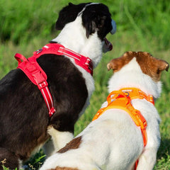 Truelove Reflective Safety Harness Vest for Small and Medium-sized Dogs/Pets/Cats - dealskart.com.au