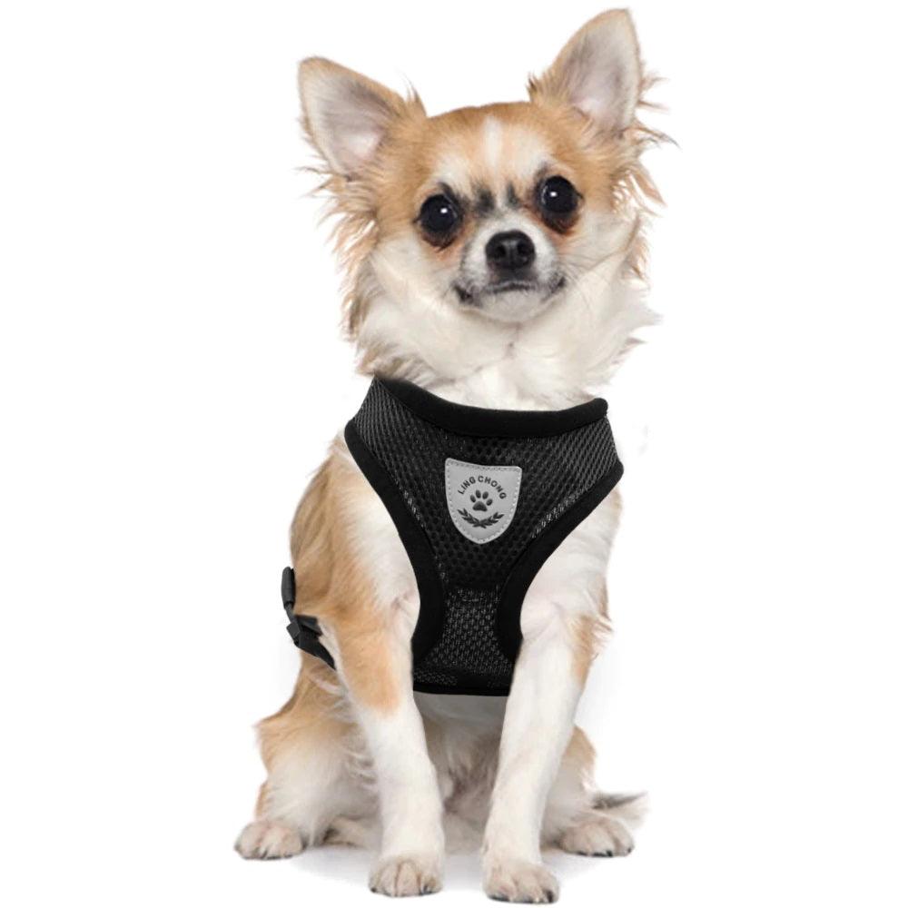 Pet Accessories- Cat’s Breathable Harness Vest - dealskart.com.au