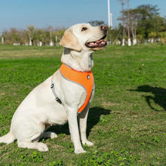 Truelove Nylon Breathable Vest for Pets/Dogs/Cats - dealskart.com.au