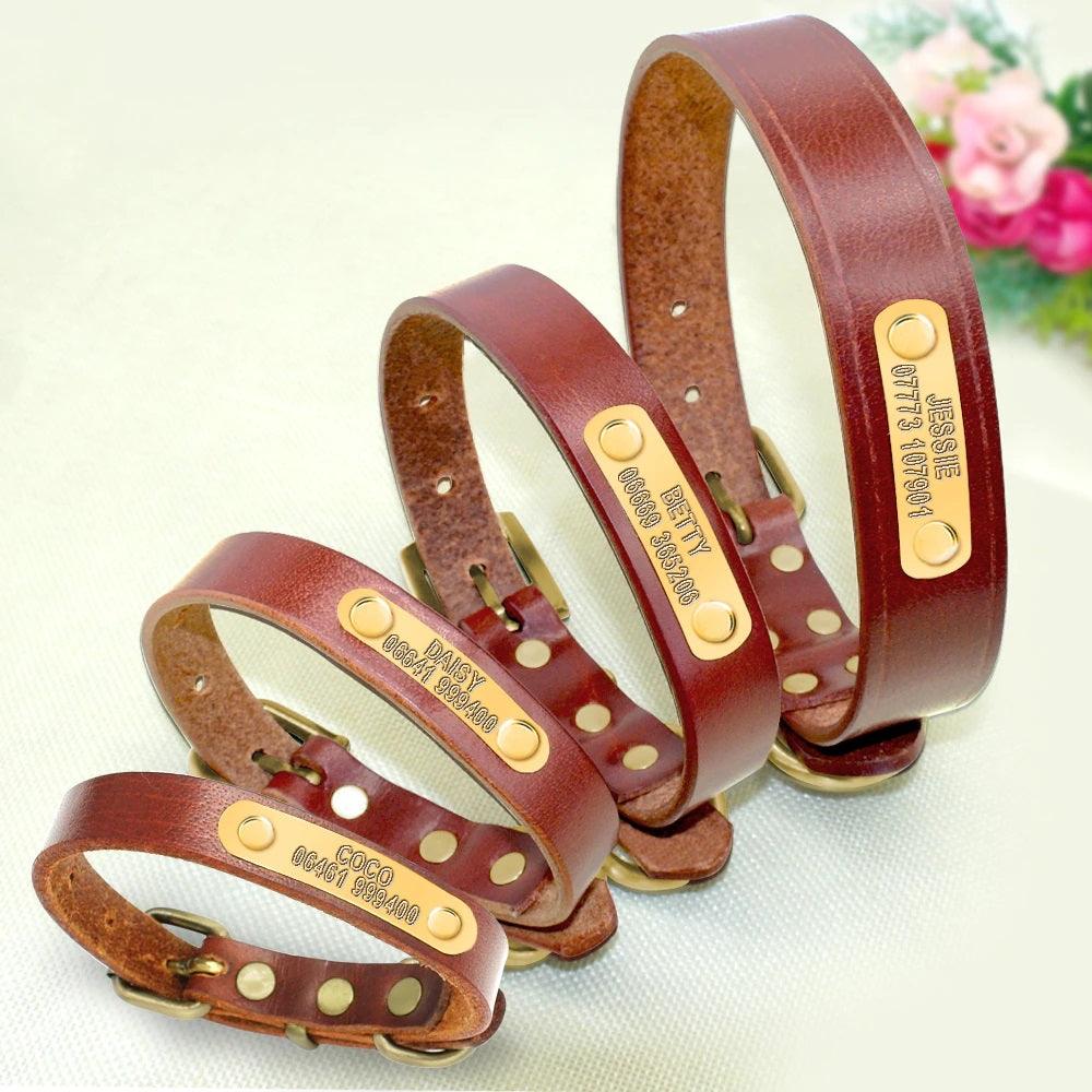 Leather Dog Collars for Small, Medium and Large-sized Dogs - dealskart.com.au