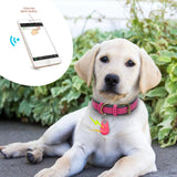 Pet Appliances Smart Mini Anti-Lost Tracker - dealskart.com.au