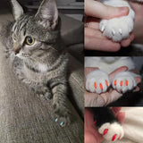 Pet Accessories- 20Pcs Soft Claw Protector Cover for Cats - dealskart.com.au