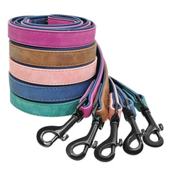 Easy-Wear Dog Collar with Leash- Small/Medium/Large-sized Dog - dealskart.com.au