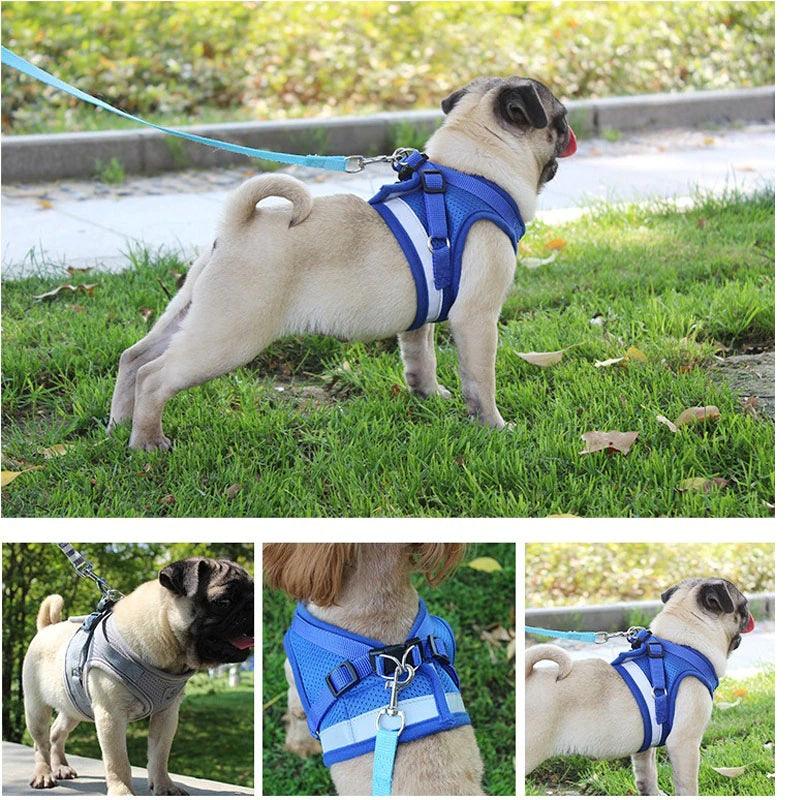 Reflective Safety Dog Harness and Leash Set - dealskart.com.au