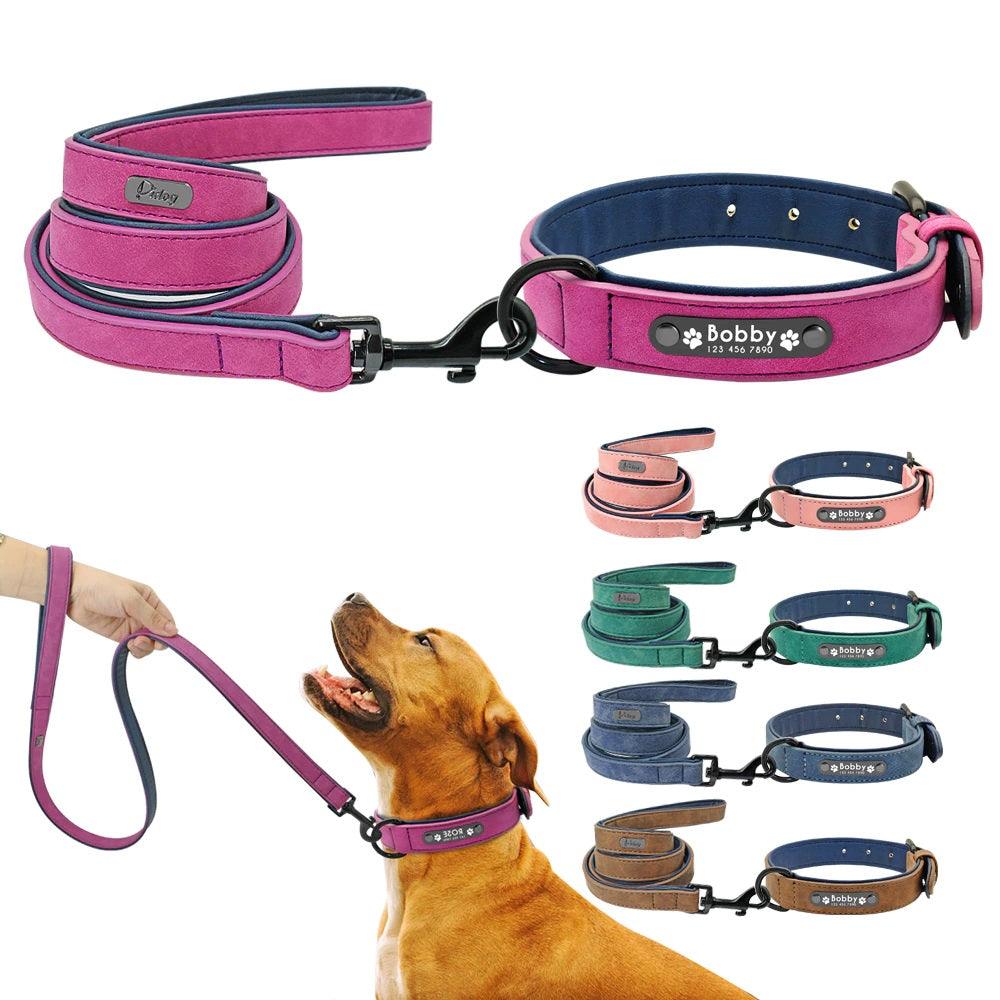 Easy-Wear Dog Collar with Leash- Small/Medium/Large-sized Dog - dealskart.com.au