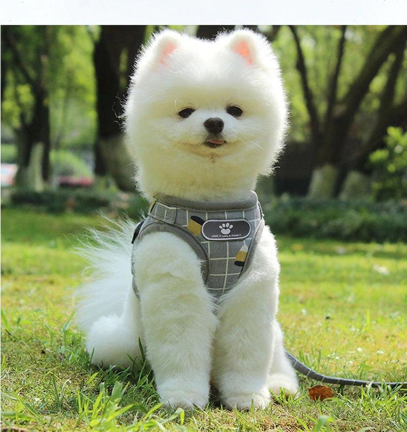 Nylon Mesh Breathable Pet Harness Vest - dealskart.com.au