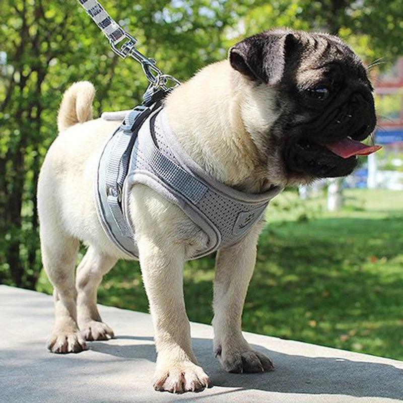 Heavy duty Adjustable Vest Dog Harness Leash - dealskart.com.au
