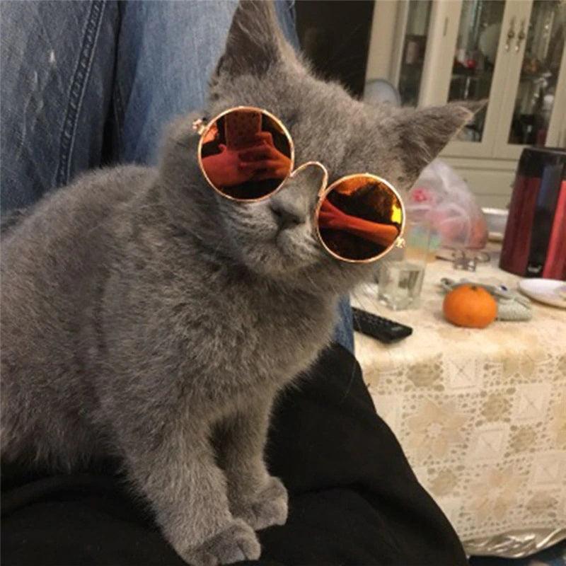 Pet Accessories and Supplies Eye wear Sunglasses for Pets - dealskart.com.au