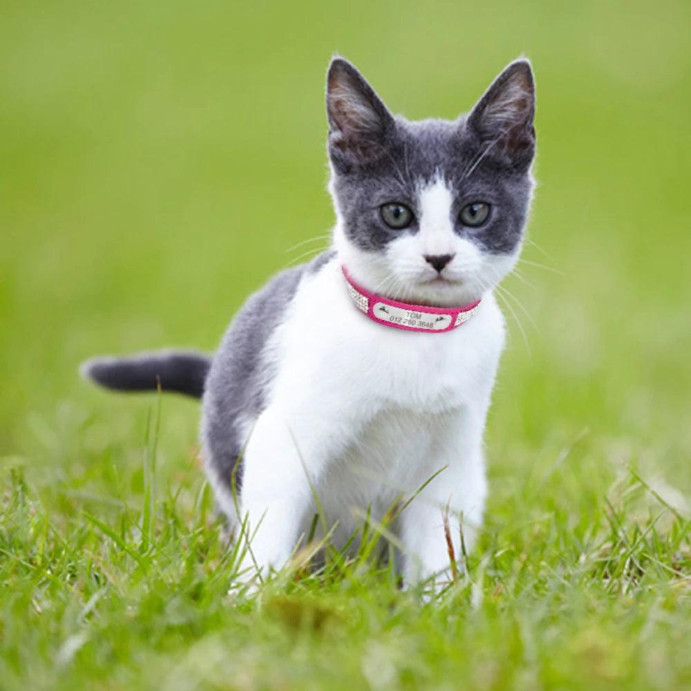 Personalised Cat Collar Leather Adjustable | Pet Accessories - dealskart.com.au