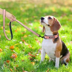 Easy-Wear Dog Collar with Leash- Small/Medium/Large-sized Dog - dealskart.com.au