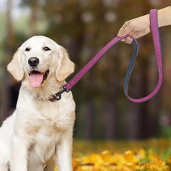 Easy-Wear Dog Collar with Leash- Small/Medium/Large-sized Dog - dealskart.com.au