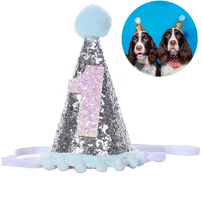 Pet Celebrations Party Celebration Hat - dealskart.com.au