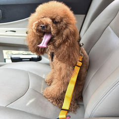 Pet Supplies Dog Car Seat Belt- Multicolour range - dealskart.com.au