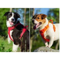 Truelove Reflective Safety Harness Vest for Small and Medium-sized Dogs/Pets/Cats - dealskart.com.au