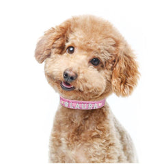Cute Rhinestone Dog Collar for Small and Medium-sized dogs - dealskart.com.au