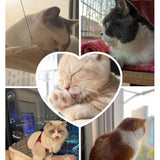 Pet Accessories- Cat’s Comfy Hanging Hammock Window Beds - dealskart.com.au