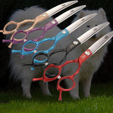 Pet Accessories- Fenice Professional 6.5 inch Curved Animal Grooming Scissors - dealskart.com.au