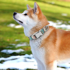 Multicolour, Trendy Printed Collar for Dogs - dealskart.com.au