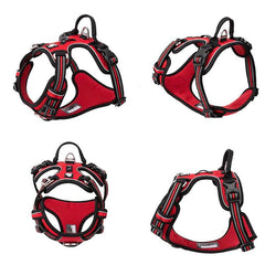 Truelove Nylon Adjustable Harness Vest - dealskart.com.au