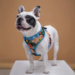 Cute Printed Dog Vest for Small and Medium-sized Dogs - dealskart.com.au