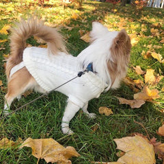 Pet Accessories- Pet Sweater Wooly Warm Outfit - dealskart.com.au