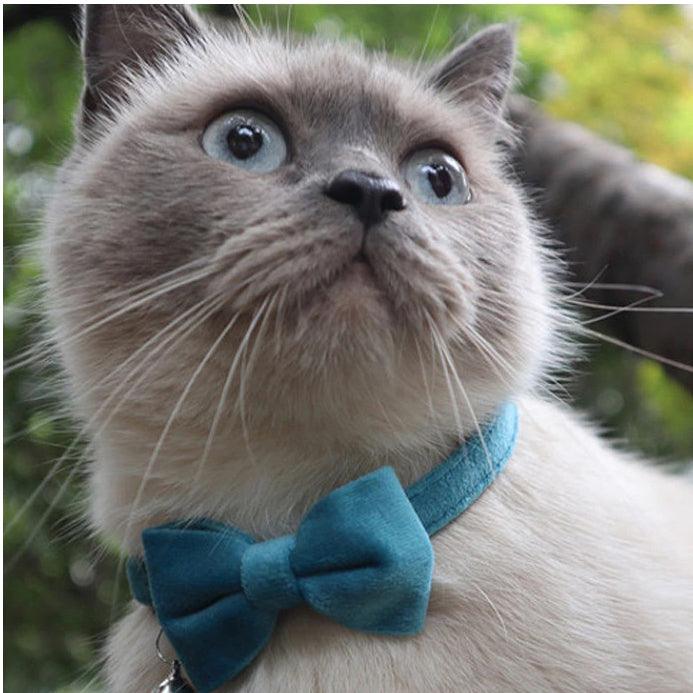 Pet Accessories- Pet’s Velvet Solid Ribbon Collar for Cats - dealskart.com.au