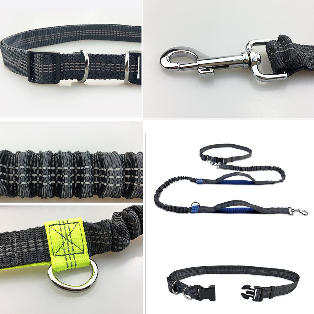 Reflective Waist Belt and Dog Leash for Running - dealskart.com.au