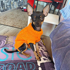 Pet Accessories- Pet Sweater Wooly Warm Outfit - dealskart.com.au