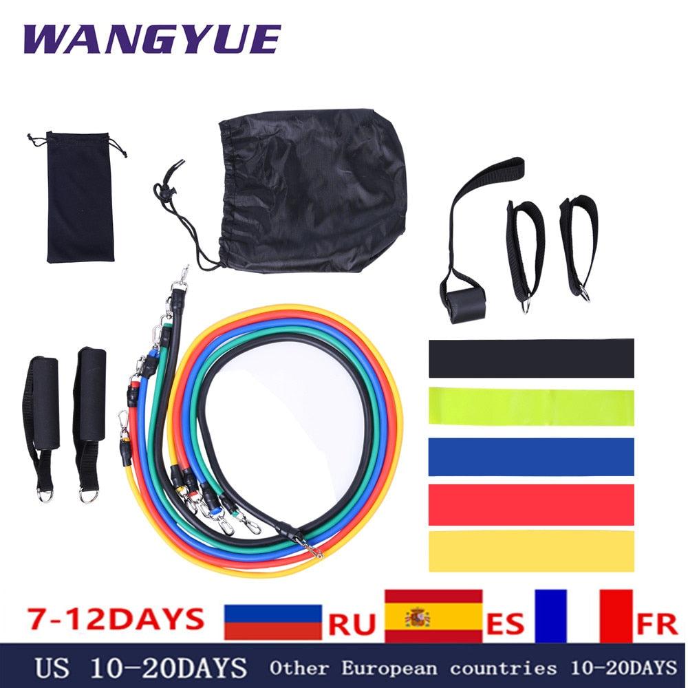 All-in-one Complete Resistance Band Set - dealskart.com.au