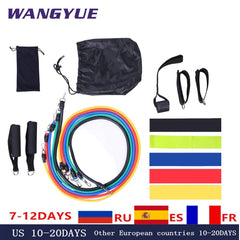 All-in-one Complete Resistance Band Set - dealskart.com.au