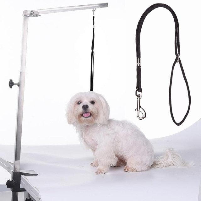 Durable Nylon Grooming Loop Harness Leash for Dogs - dealskart.com.au